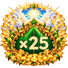 ×25