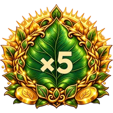 ×5